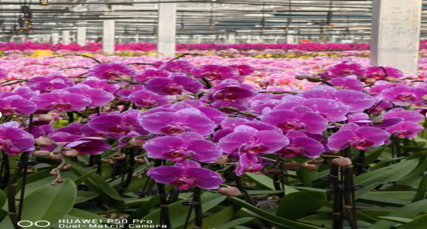 威廉希尔·williamhill(中国)中文官网